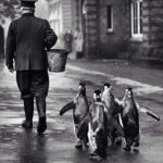 Πώς πάει Τι κάνετε;