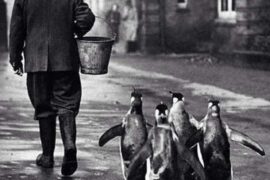 Πώς πάει Τι κάνετε;