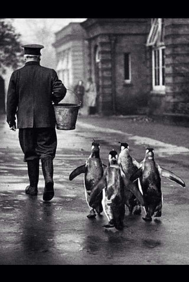 Πώς πάει; Τι κάνετε; Πώς πάει Τι κάνετε;