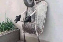 Πώς πάει; Κρατάτε;