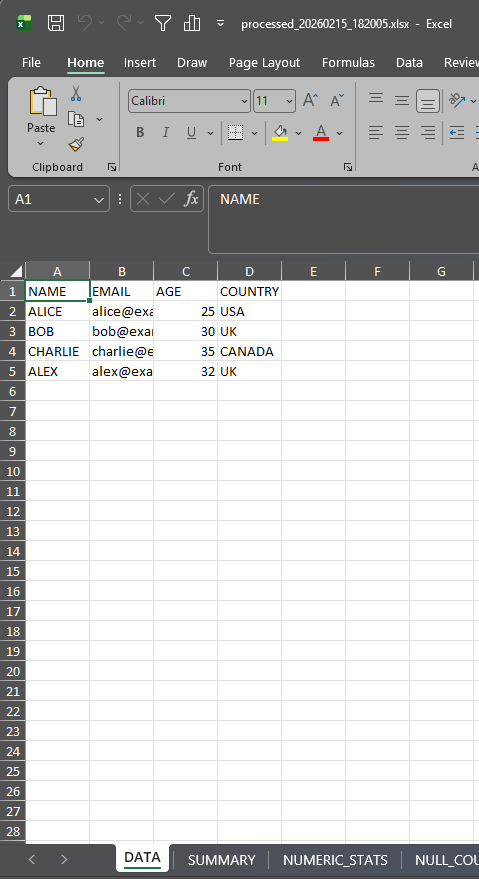 Processed Excel File