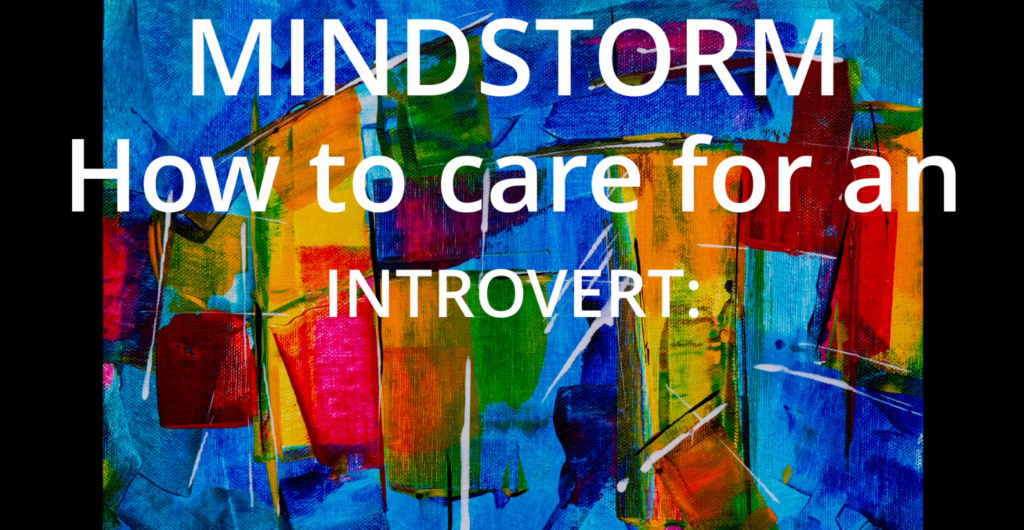 How to care for an introvert