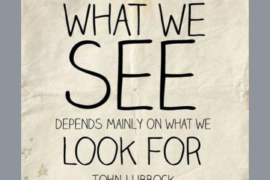 Το τι βλέπεις εξαρτάται από τι ψάχνεις