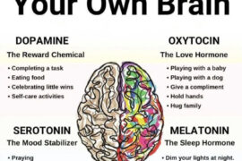 How to hack your own brain