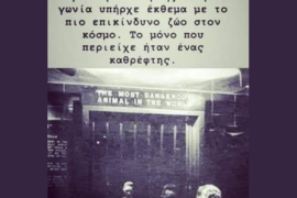 Καθρέφτη καθρεφτάκι μου