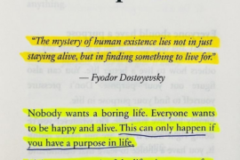 Find your purpose!