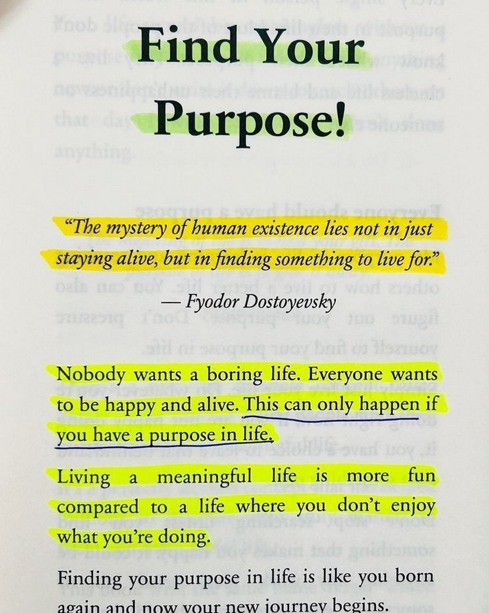 Find your purpose!